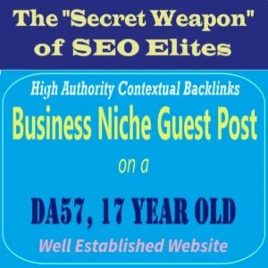 Premium SEO Guest Post on my DA50 Plus Business Blog with Dofollow backlink