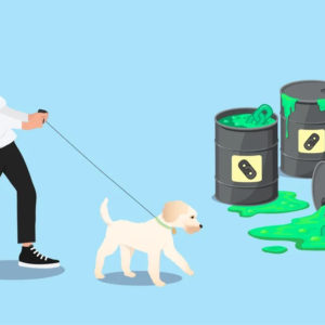 (Toxic) Backlink Disavow Service