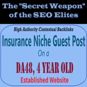 Premium SEO Guest Post on my DA40+ Insurance Blog with Dofollow backlink