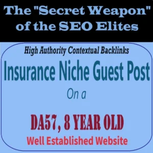 Premium SEO Guest Post on my DA50+ Insurance Blog with Dofollow backlink (Copy)